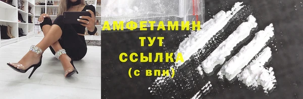 винт Ельня