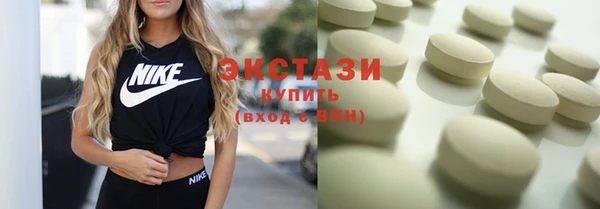 винт Ельня