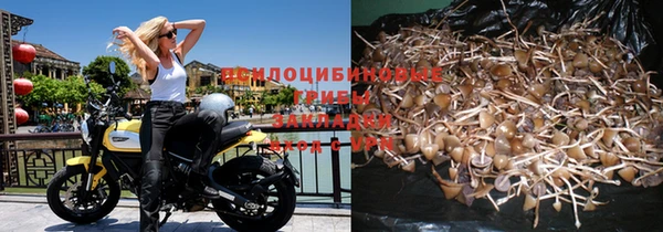 бутират Елабуга