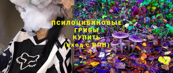 эйфоретик Елизово