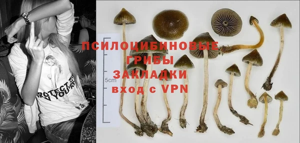бутират Елабуга