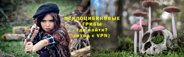 эйфоретик Елизово